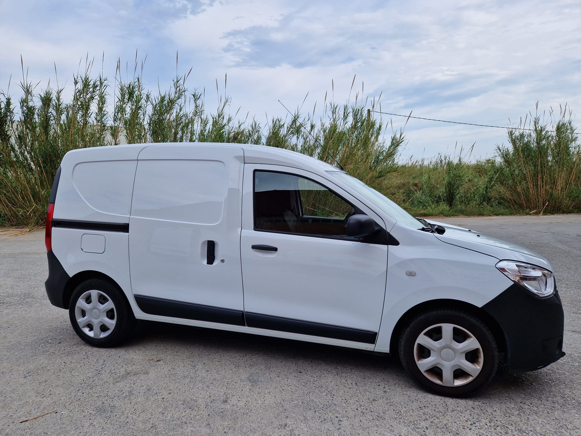 Dacia Dokker 2 plazas (V-1)